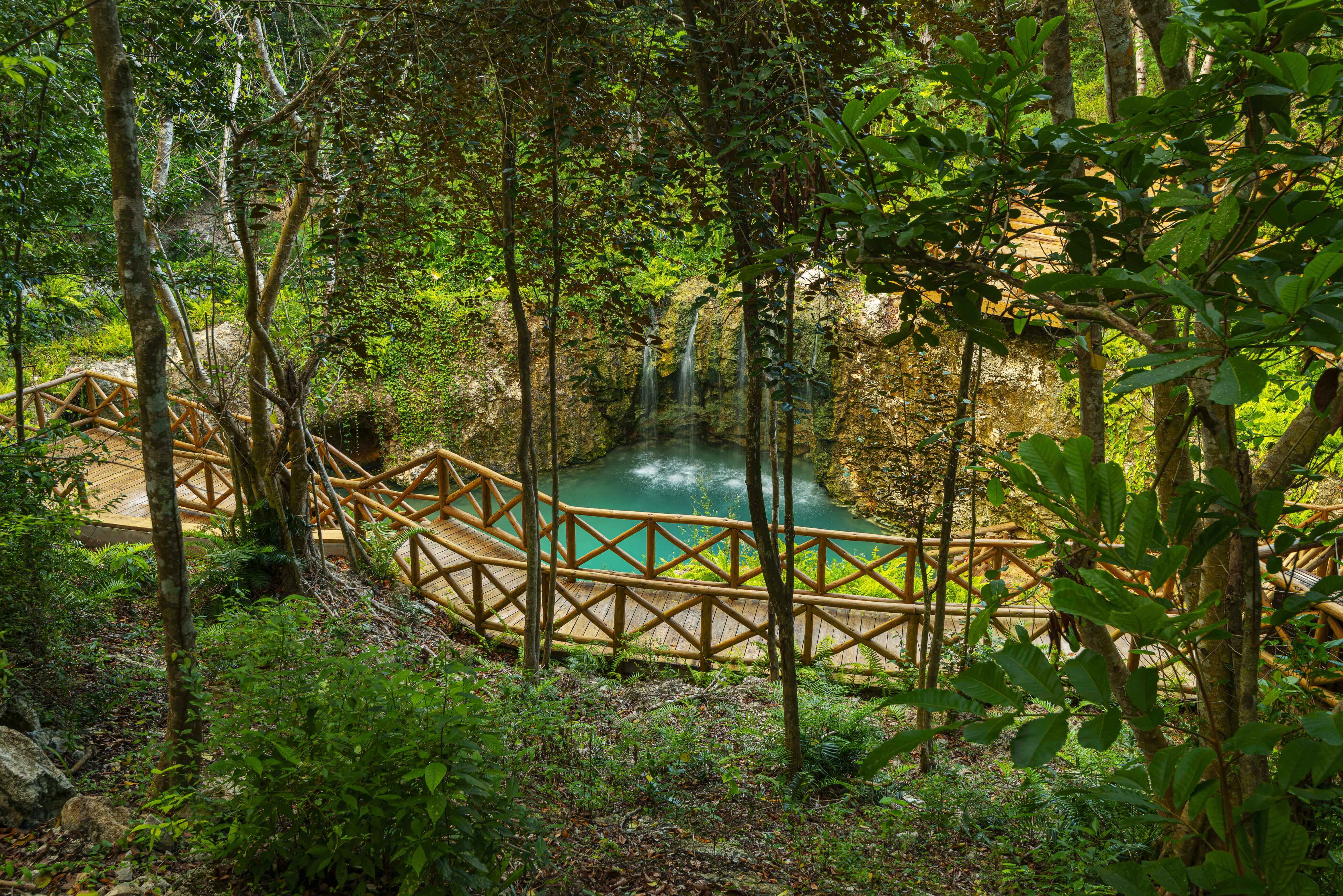 Tropical trails and boardwalks through Scape Park