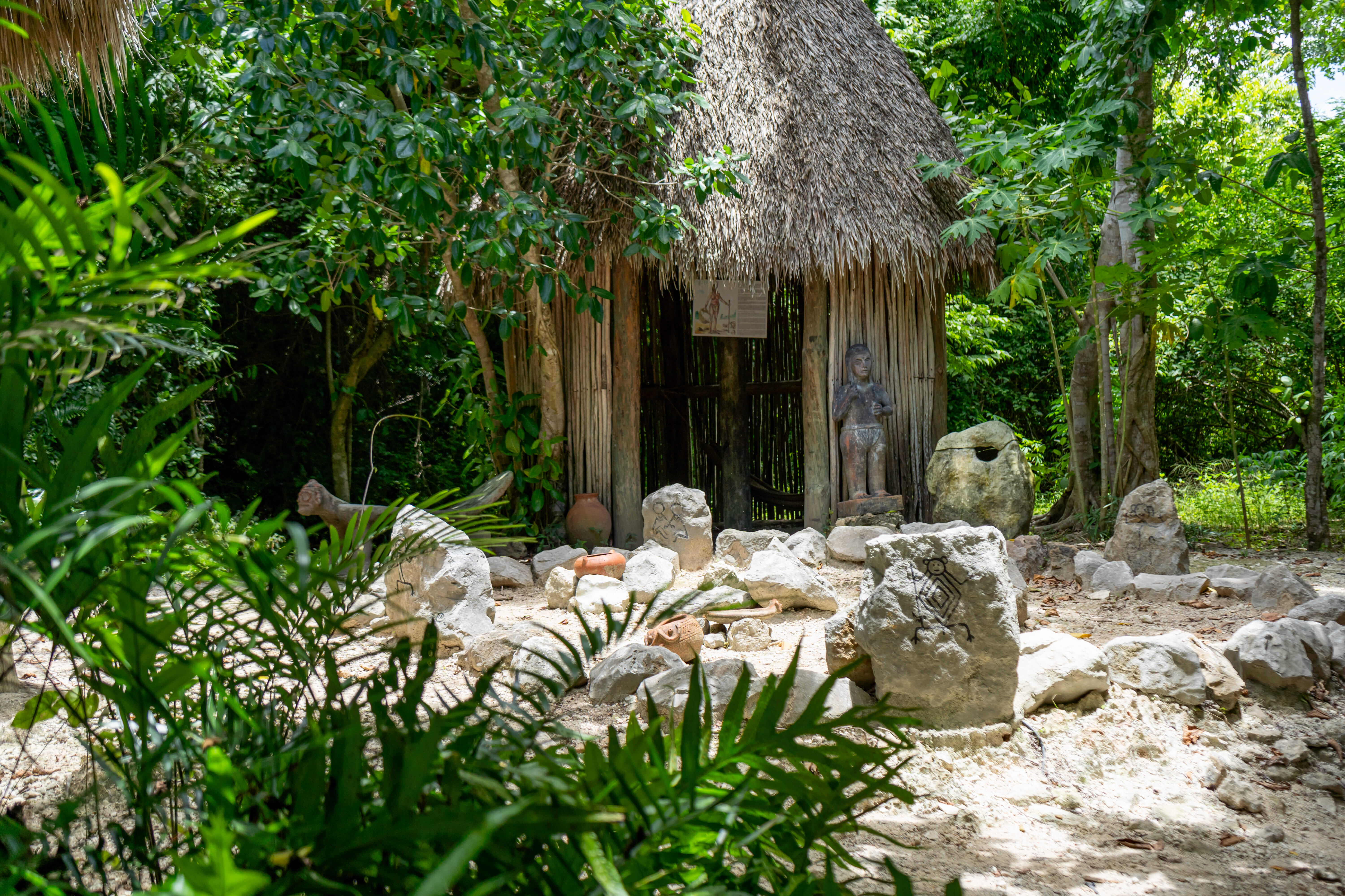 Full Admission eco-adventure highlights in Punta Cana