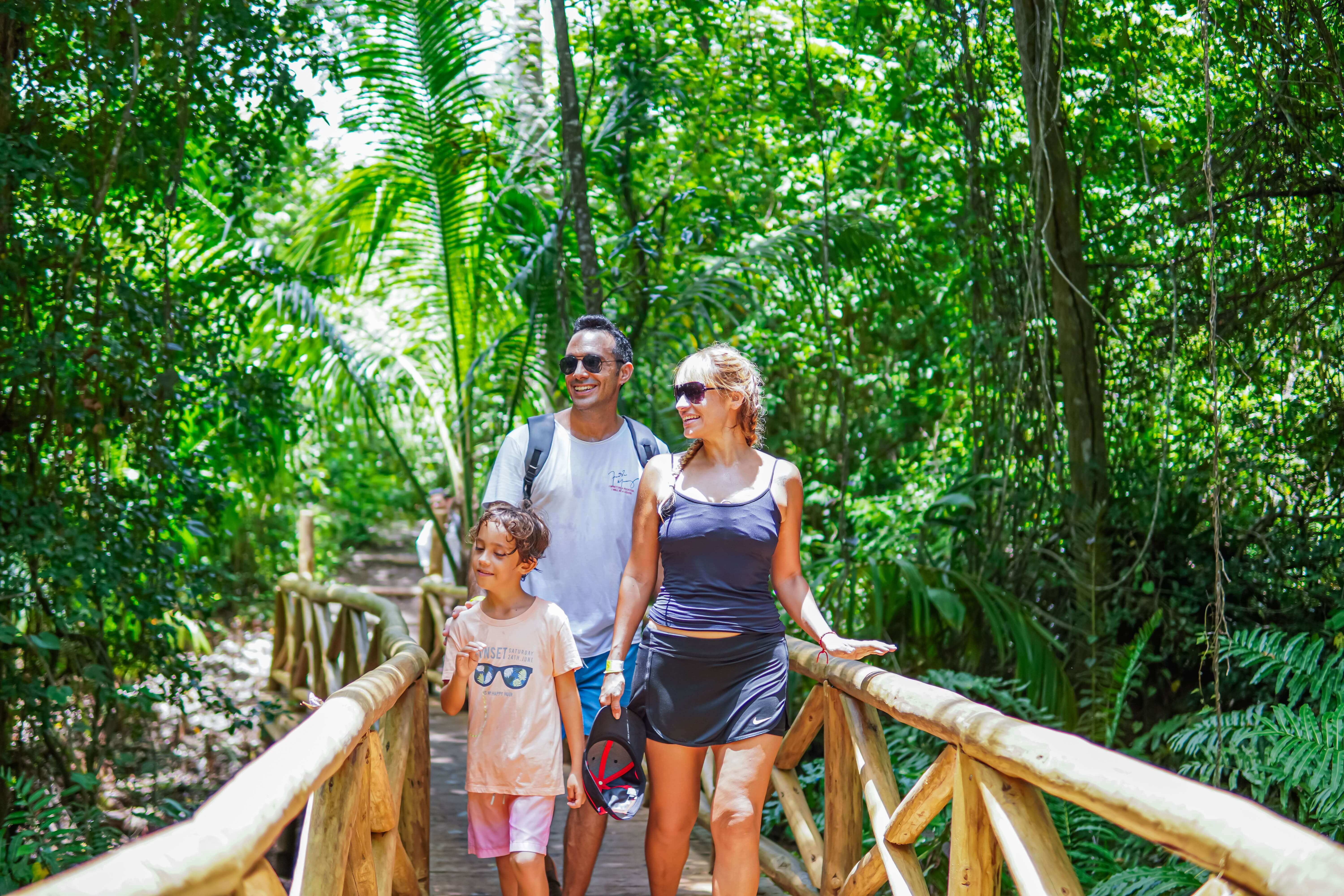 Zipline launch platform high above the tropical forest