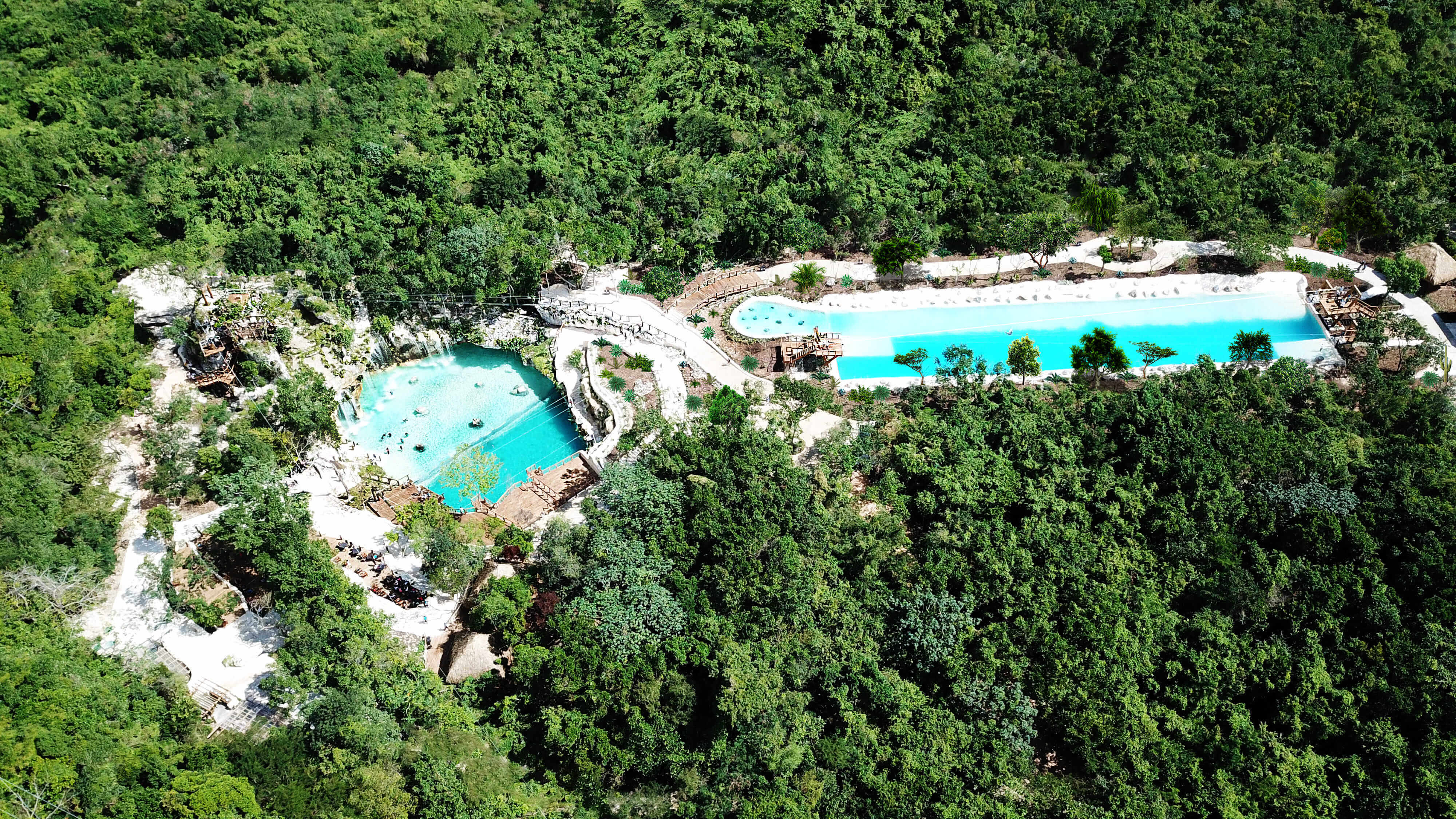 Guests soaring on ziplines above tropical forest